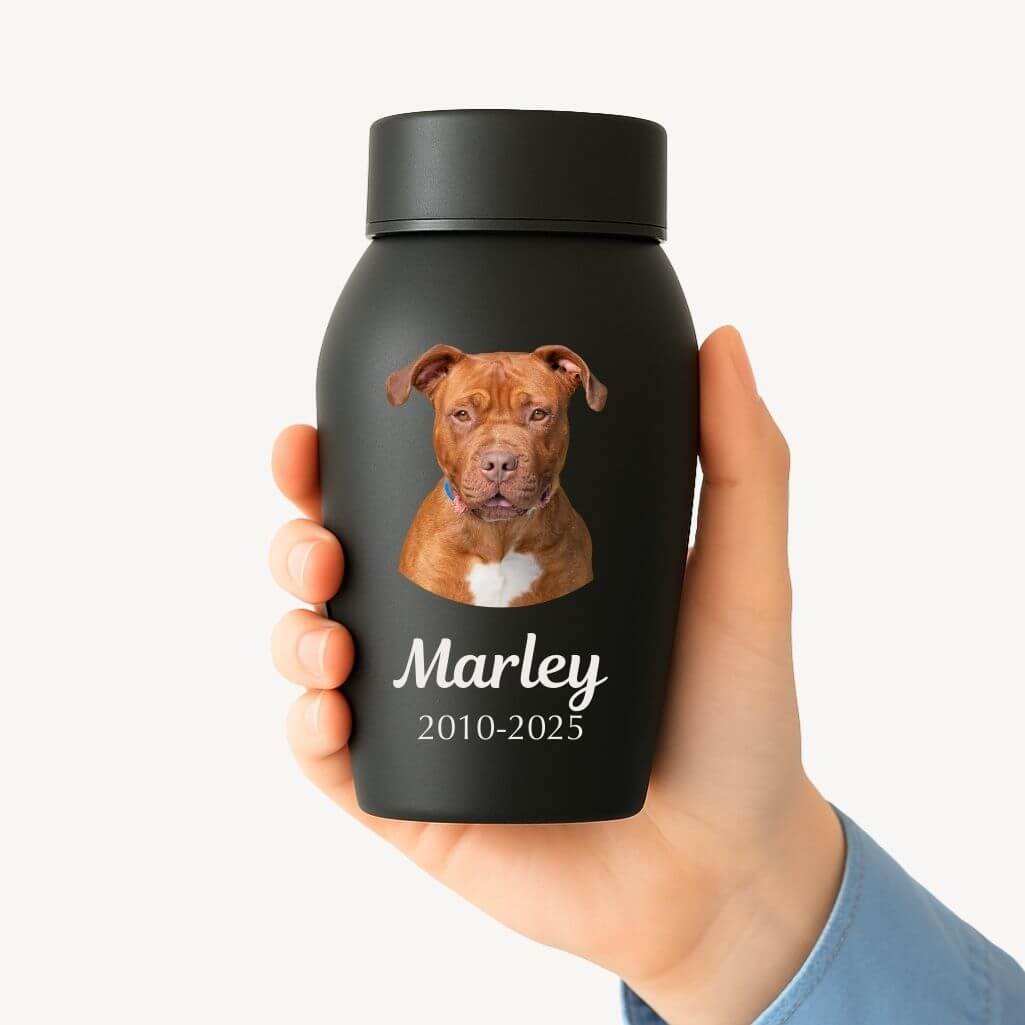 Personalised Dog Urn with Photo – Engraved Stainless Steel Memorial Urn with Name & Dates