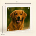 Personalised Acrylic Dog Memorial Frame – Custom Pet Photo Plaque with Name & Heart Paw Design