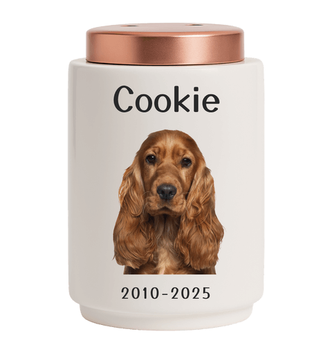 Personalised Ceramic Dog Urn with Photo –  Pet Cremation Urn for Ashes with Name, Dates & Stainless Steel Lid